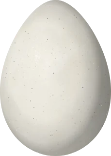 Illustration of a Wattled Guan (Aburria aburri) egg, 69.2 × 49.5 mm