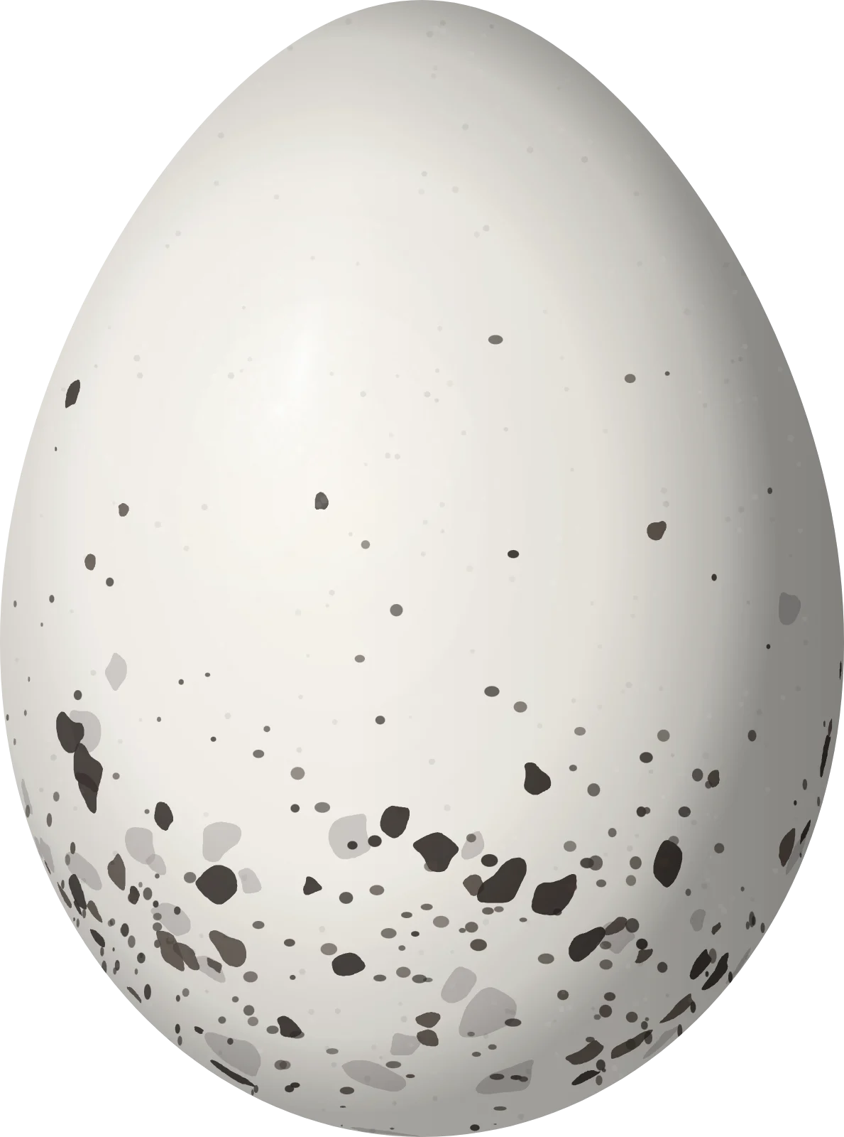 Illustration of a Wedge-tailed Grass Finch (Emberizoides herbicola) egg, 22.83 × 16.96 mm