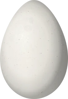 Illustration of a West Mexican Chachalaca (Ortalis poliocephala) egg, 58 × 40.1 mm