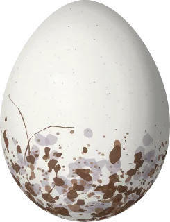 Illustration of a Western Chat-Tanager (Calyptophilus tertius) egg, 23.5 × 18 mm