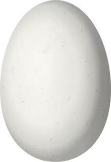 Illustration of a Western Emerald (Chlorostilbon melanorhynchus) egg, 11.36 × 7.78 mm