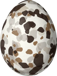 Western Kingbird egg, 23.5 × 17.7 mm