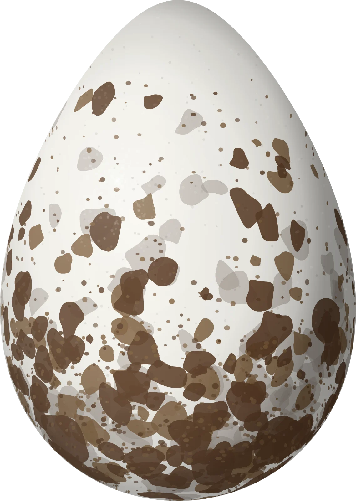 Illustration of a Western Sandpiper (Calidris mauri) egg, 30.8 × 21.9 mm