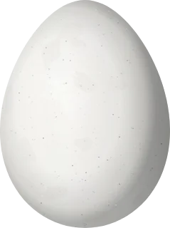 Illustration of a Western Woodhaunter (Automolus virgatus) egg, 28.1 × 21 mm