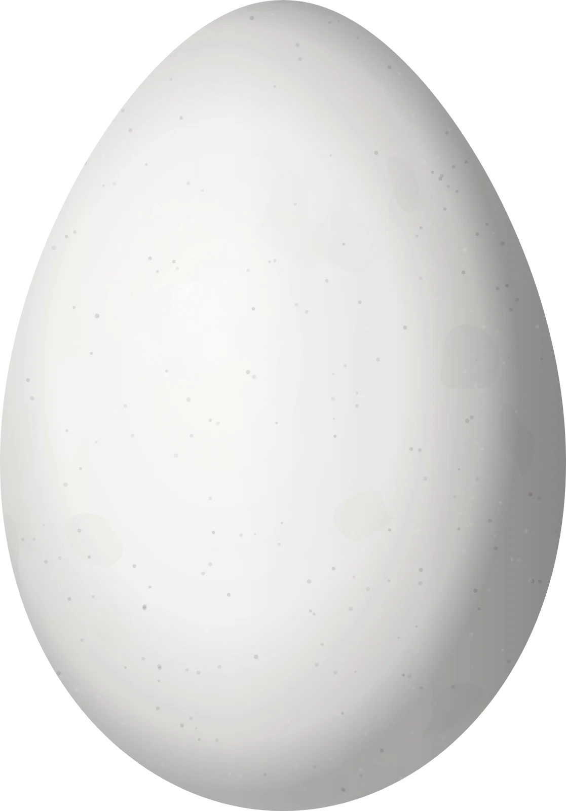 Illustration of a Whiskered Auklet (Aethia pygmaea) egg, 48 × 33.5 mm