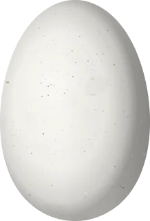 Illustration of a White-bearded Helmetcrest (Oxypogon lindenii) egg, 15 × 10.2 mm