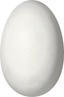 Illustration of a White-bearded Hermit (Phaethornis hispidus) egg, 14.2 × 9.4 mm