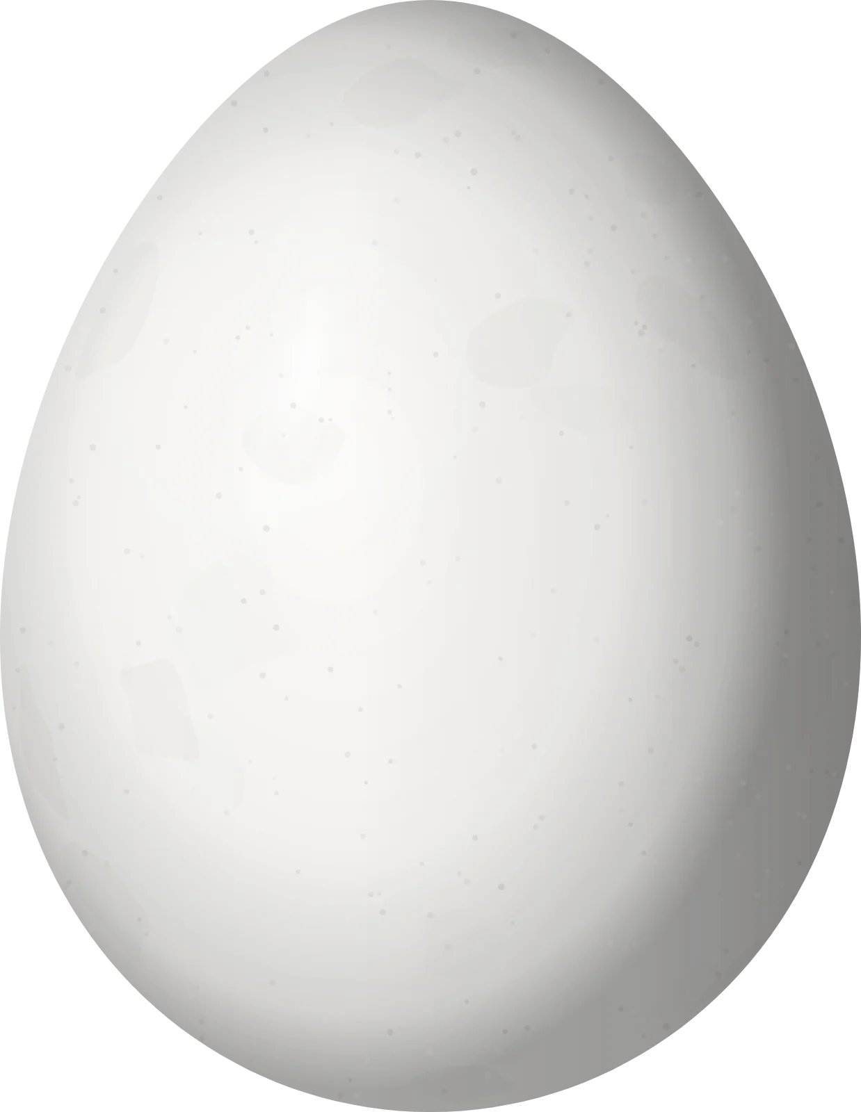 Illustration of a White-bellied Cinclodes (Cinclodes palliatus) egg, 26.1 × 20.2 mm
