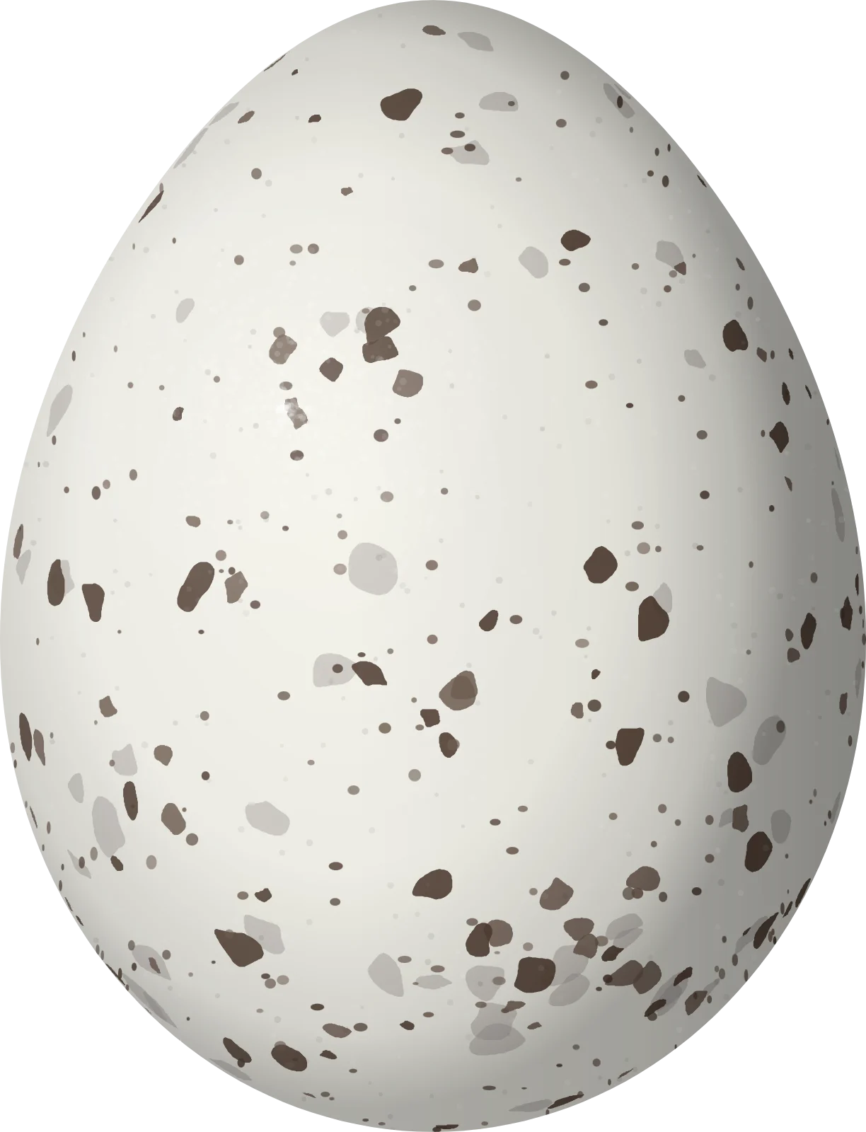 Illustration of a White-bellied Dacnis (Dacnis albiventris) egg, 17 × 13 mm