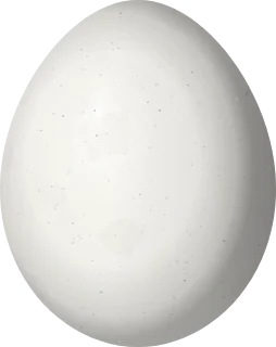Illustration of a White-bellied Piculet (Picumnus spilogaster) egg, 15.5 × 12.3 mm