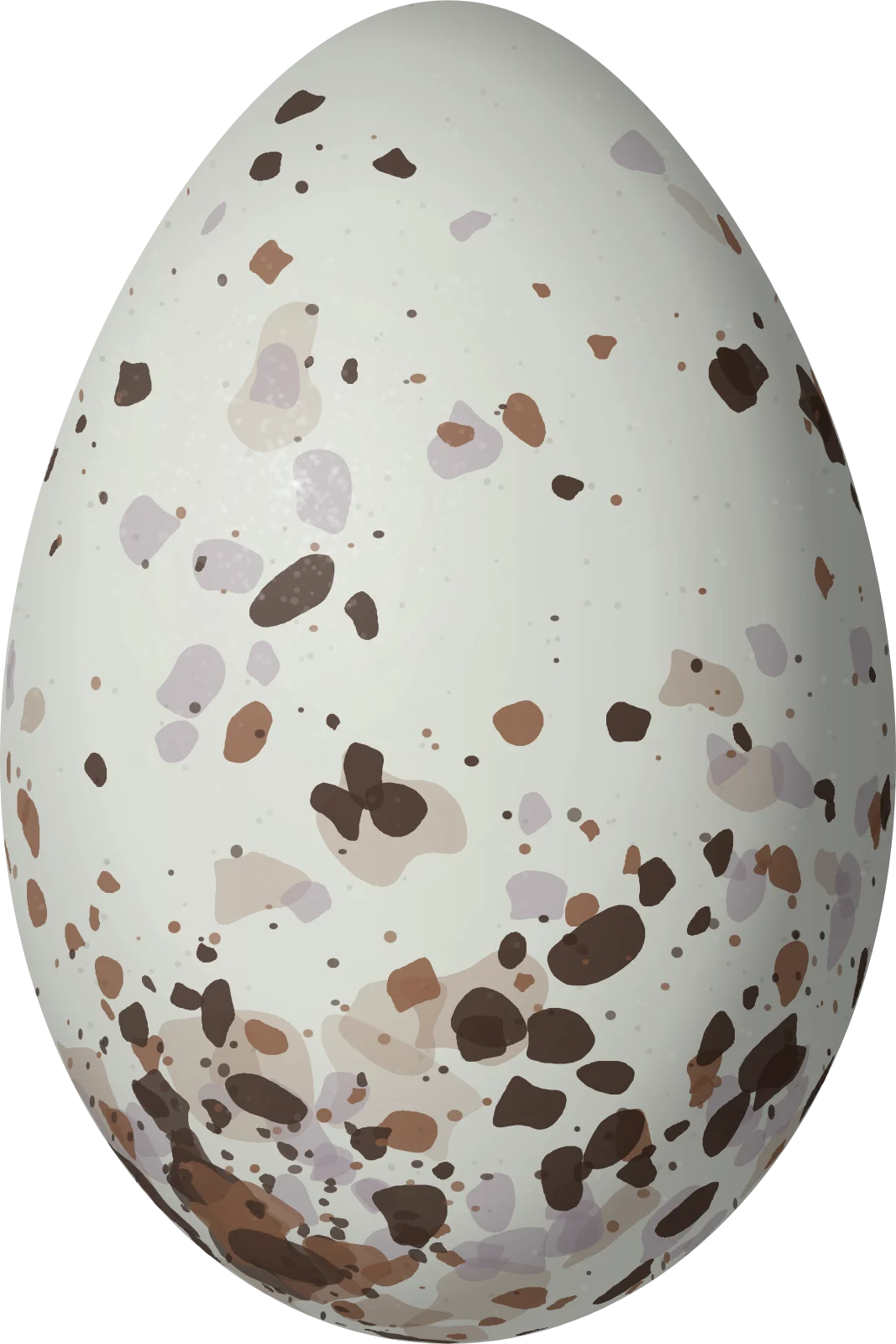 Illustration of a White-bellied Seedeater (Sporophila leucoptera) egg, 18 × 12 mm