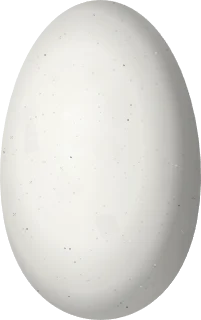 Illustration of a White-bellied Woodstar (Chaetocercus mulsant) egg, 12.4 × 7.8 mm