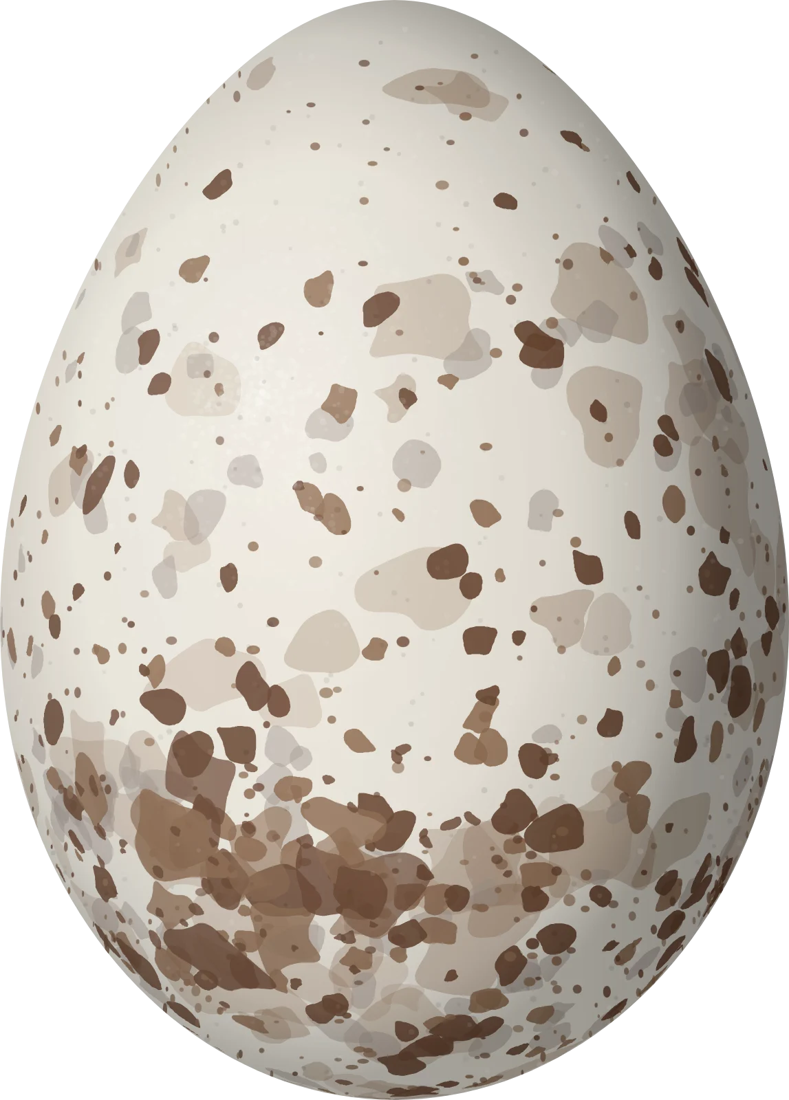 Illustration of a White-bibbed Manakin (Corapipo leucorrhoa) egg, 20.5 × 14.7 mm