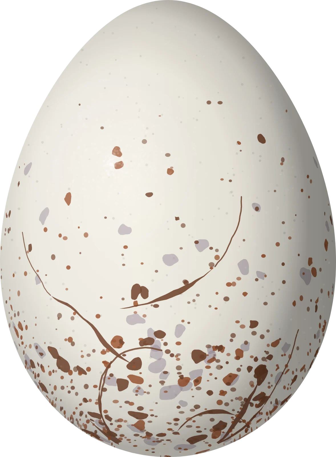 Illustration of a White-breasted Antbird (Rhegmatorhina hoffmannsi) egg, 22 × 16.2 mm