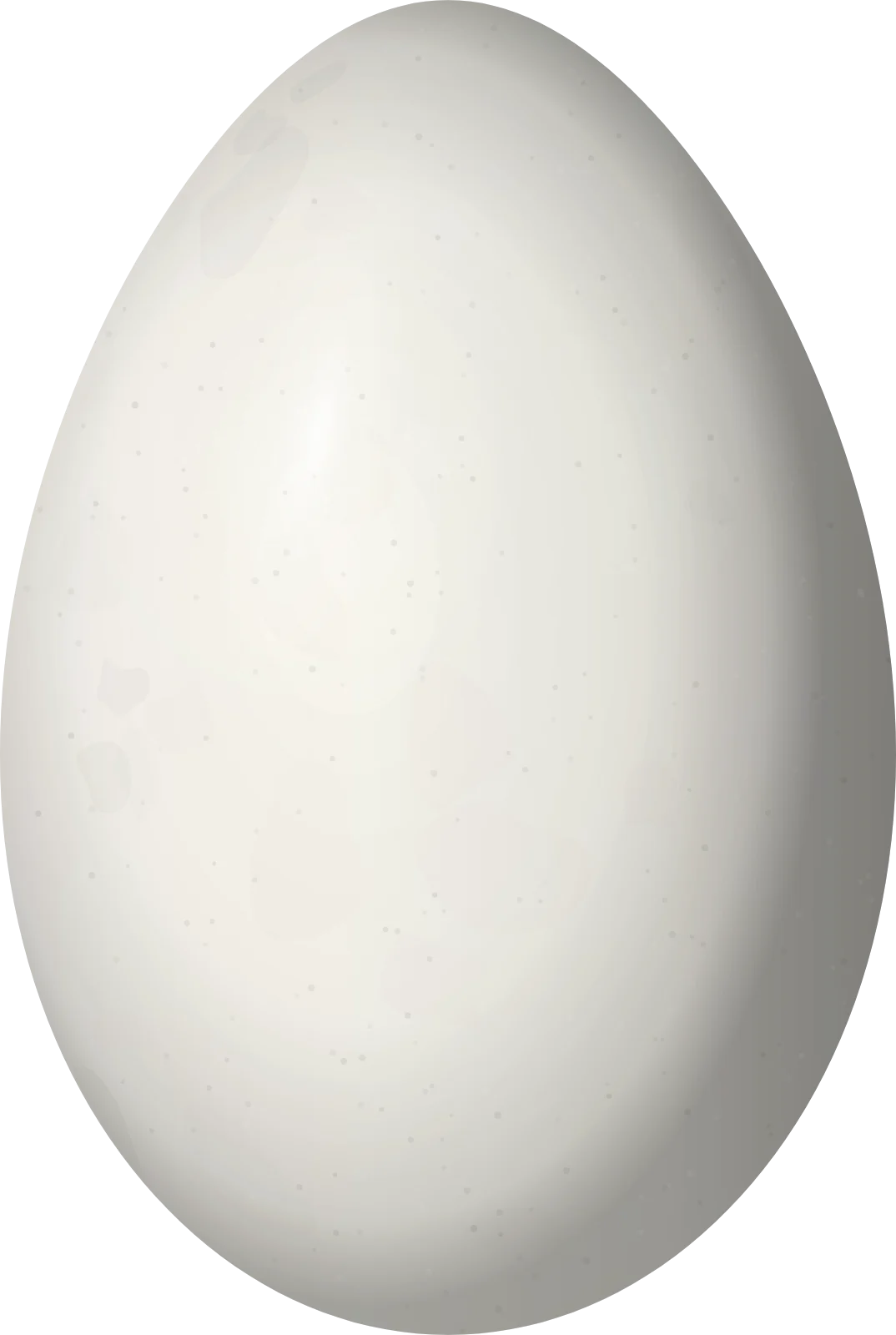 Illustration of a White-breasted Wood Wren (Henicorhina leucosticta) egg, 21.9 × 14.7 mm