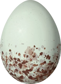 Illustration of a White-bridled Finch (Melanodera melanodera) egg, 22.2 × 16 mm
