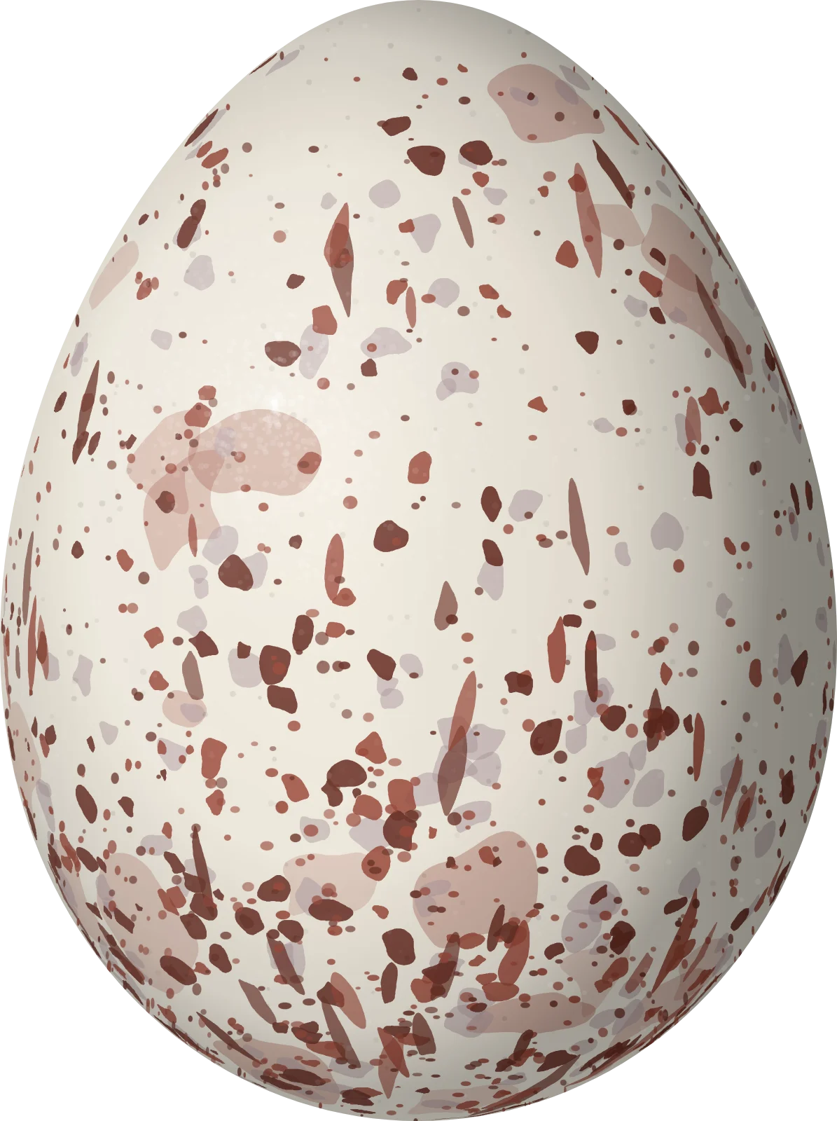 Illustration of a White-cheeked Antbird (Gymnopithys leucaspis) egg, 23.7 × 17.7 mm