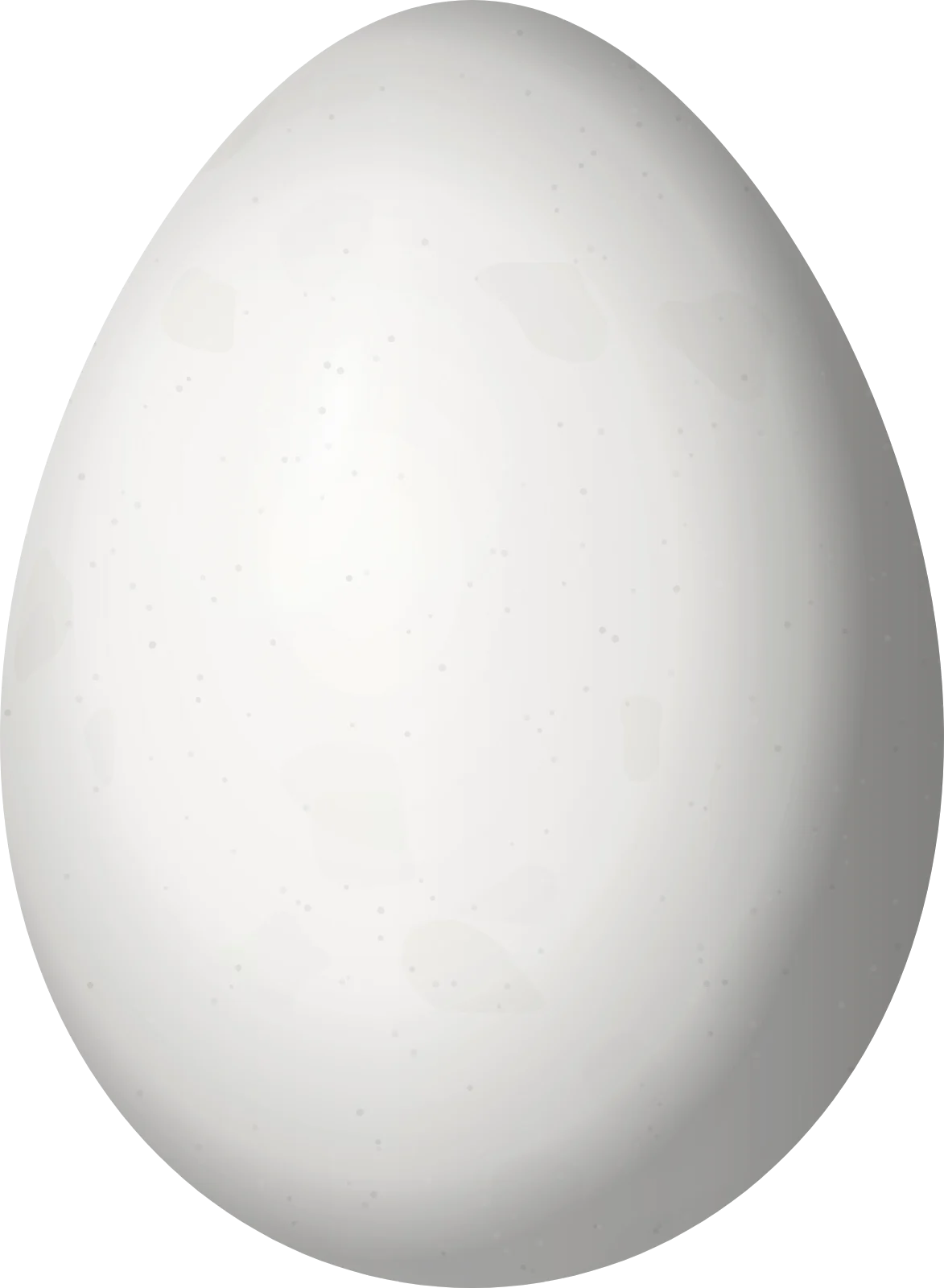Illustration of a White-chinned Thistletail (Asthenes fuliginosa) egg, 22.5 × 16.5 mm