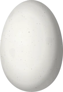 Illustration of a White-crested Coquette (Lophornis adorabilis) egg, 11.4 × 7.8 mm