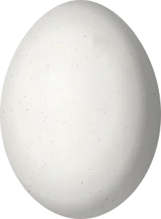 White-crowned Pigeon egg, 36.8 × 27 mm