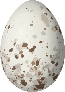 Illustration of a White-eared Conebill (Conirostrum leucogenys) egg, 17.8 × 12.7 mm