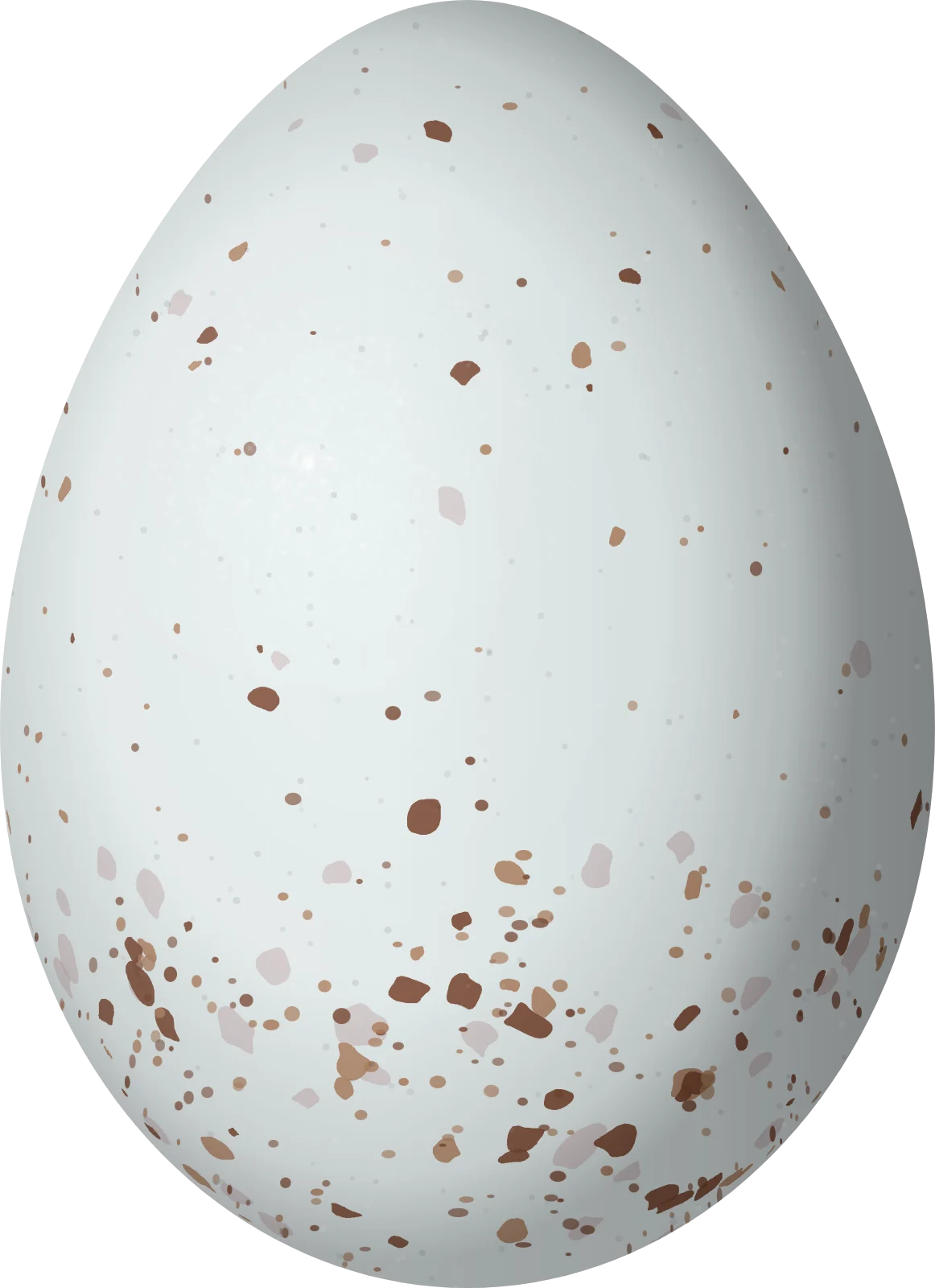 Illustration of a White-eared Ground Sparrow (Melozone leucotis) egg, 24.1 × 17.5 mm