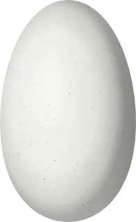 Illustration of a White-eared Hummingbird (Basilinna leucotis) egg, 12.4 × 7.6 mm