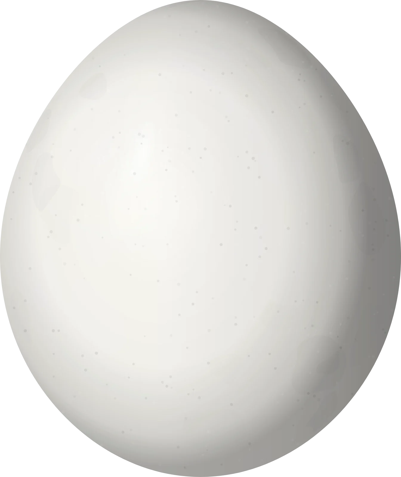 Illustration of a White-eared Jacamar (Galbalcyrhynchus leucotis) egg, 22.5 × 18.9 mm