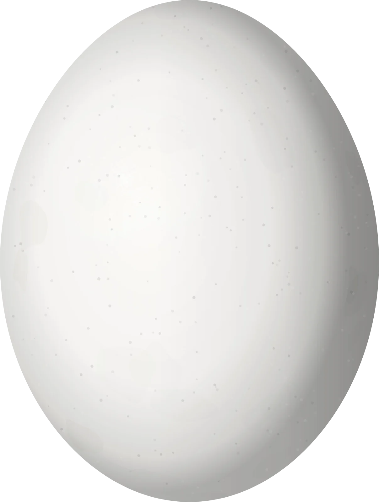 Illustration of a White-faced Quail-Dove (Zentrygon albifacies) egg, 29.7 × 22.4 mm