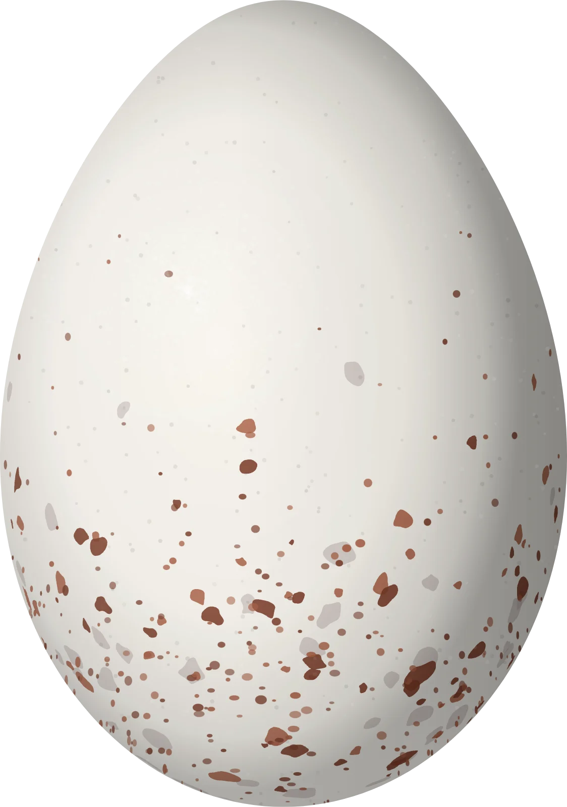 Illustration of a White-fronted Ground Tyrant (Muscisaxicola albifrons) egg, 32.3 × 22.7 mm