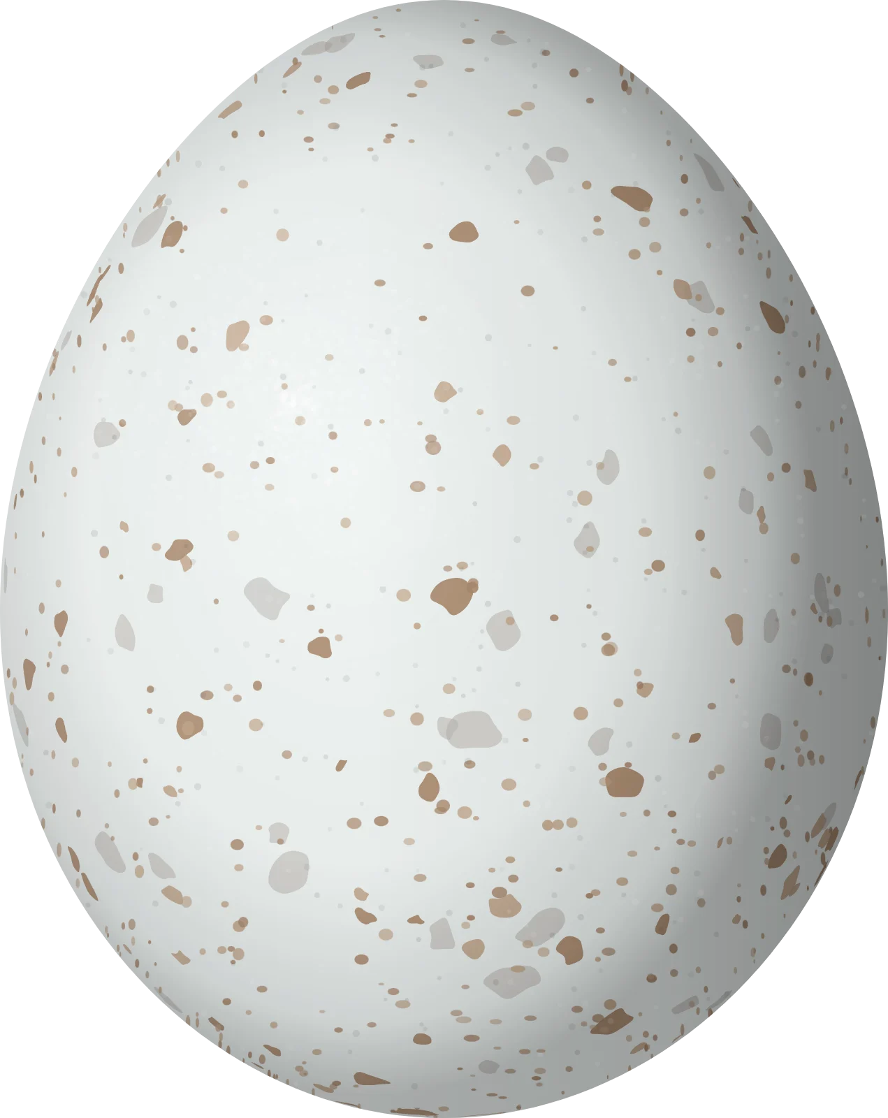 Illustration of a White Hawk (Pseudastur albicollis) egg, 54.4 × 43.2 mm