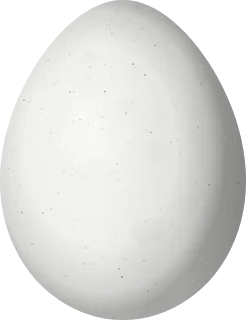 Illustration of a White-headed Munia (Lonchura maja) egg, 14.13 × 10.86 mm