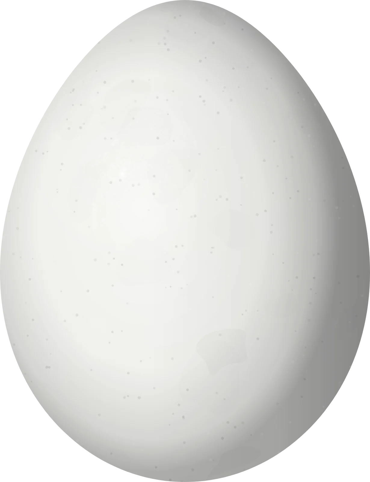 Illustration of a White-headed Munia (Lonchura maja) egg, 14.13 × 10.86 mm