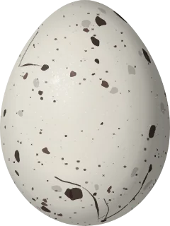 Illustration of a White-lined Tanager (Tachyphonus rufus) egg, 23.83 × 17.87 mm