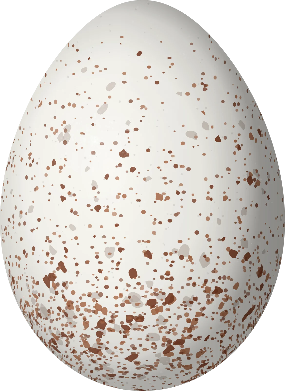 Illustration of a White-lored Warbler (Myiothlypis conspicillata) egg, 20.4 × 14.9 mm