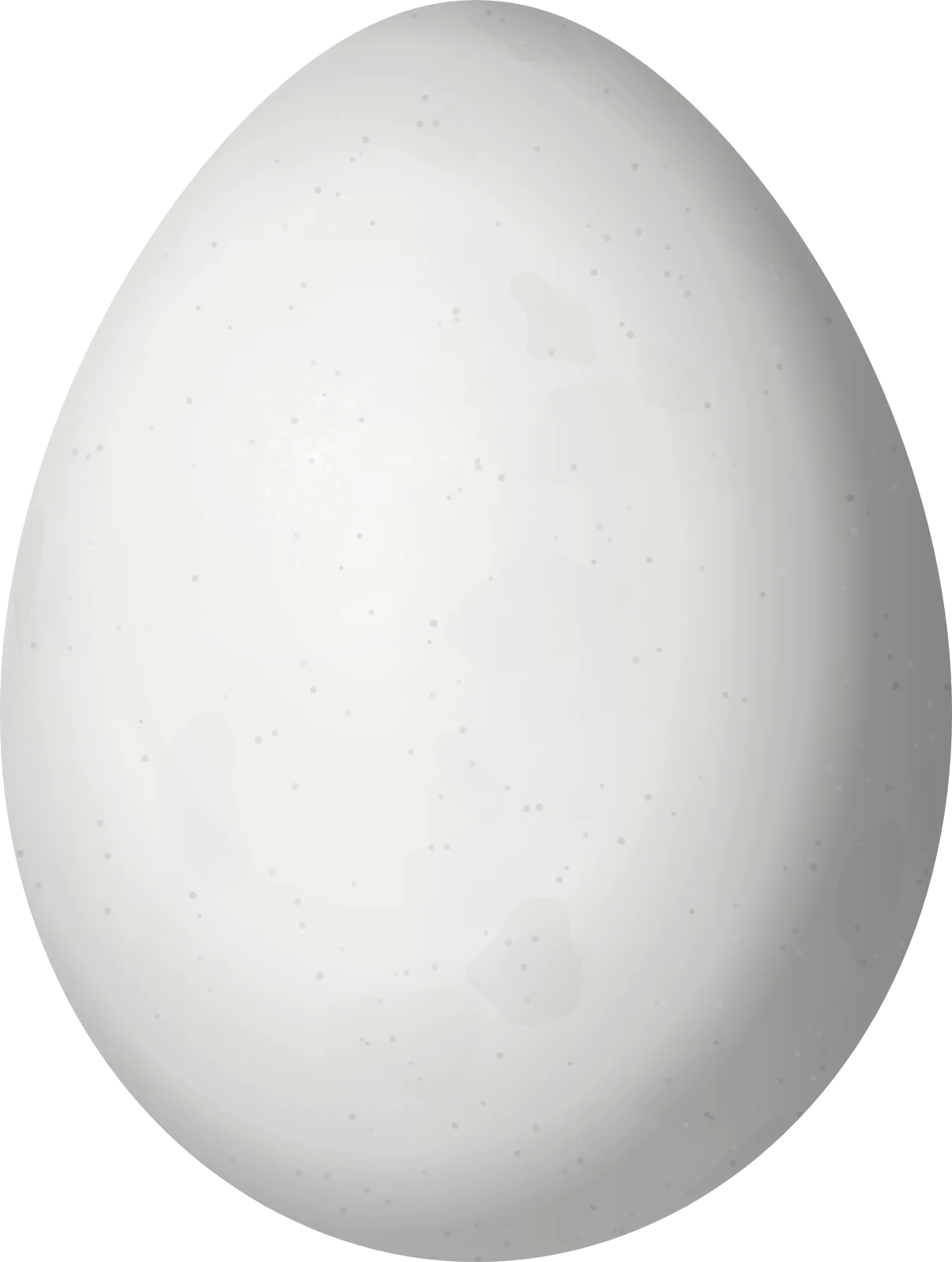 Illustration of a White-naped Brushfinch (Atlapetes albinucha) egg, 23.7 × 17.9 mm