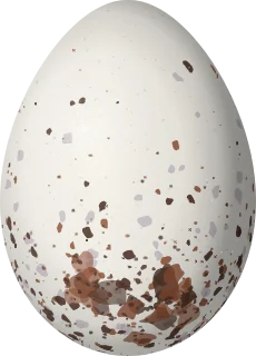 Illustration of a White-naped Seedeater (Sporophila fringilloides) egg, 17.4 × 12.5 mm