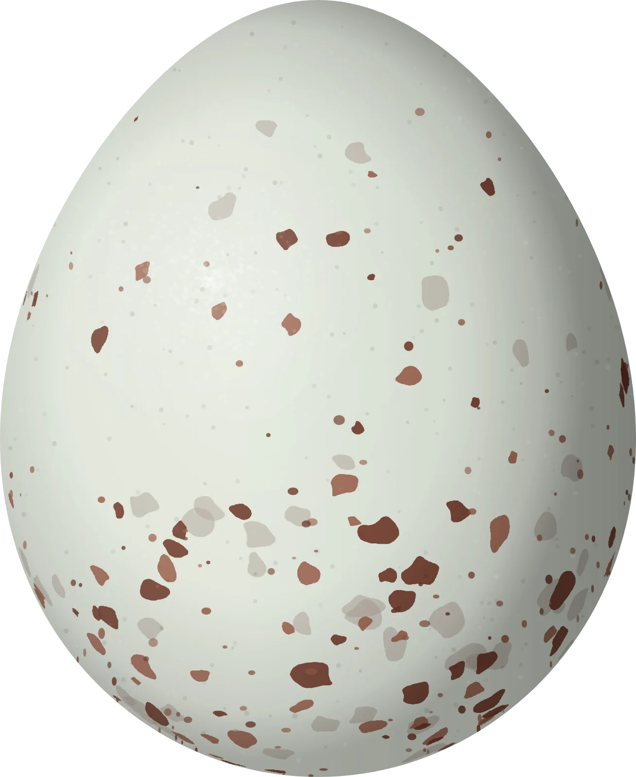 Illustration of a White-naped Xenopsaris (Xenopsaris albinucha) egg, 14.67 × 12 mm