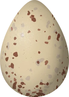 White-rumped Sandpiper egg, 33.7 × 24 mm