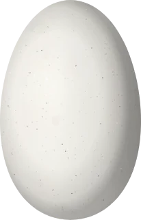 Illustration of a White-sided Hillstar (Oreotrochilus leucopleurus) egg, 15.5 × 10 mm