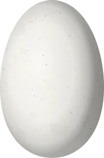Illustration of a White-tailed Emerald (Microchera chionura) egg, 13.5 × 8.9 mm