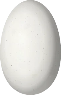 Illustration of a White-tailed Goldenthroat (Polytmus guainumbi) egg, 13.3 × 8.6 mm