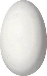 Illustration of a White-tailed Starfrontlet (Coeligena phalerata) egg, 16.1 × 9.9 mm