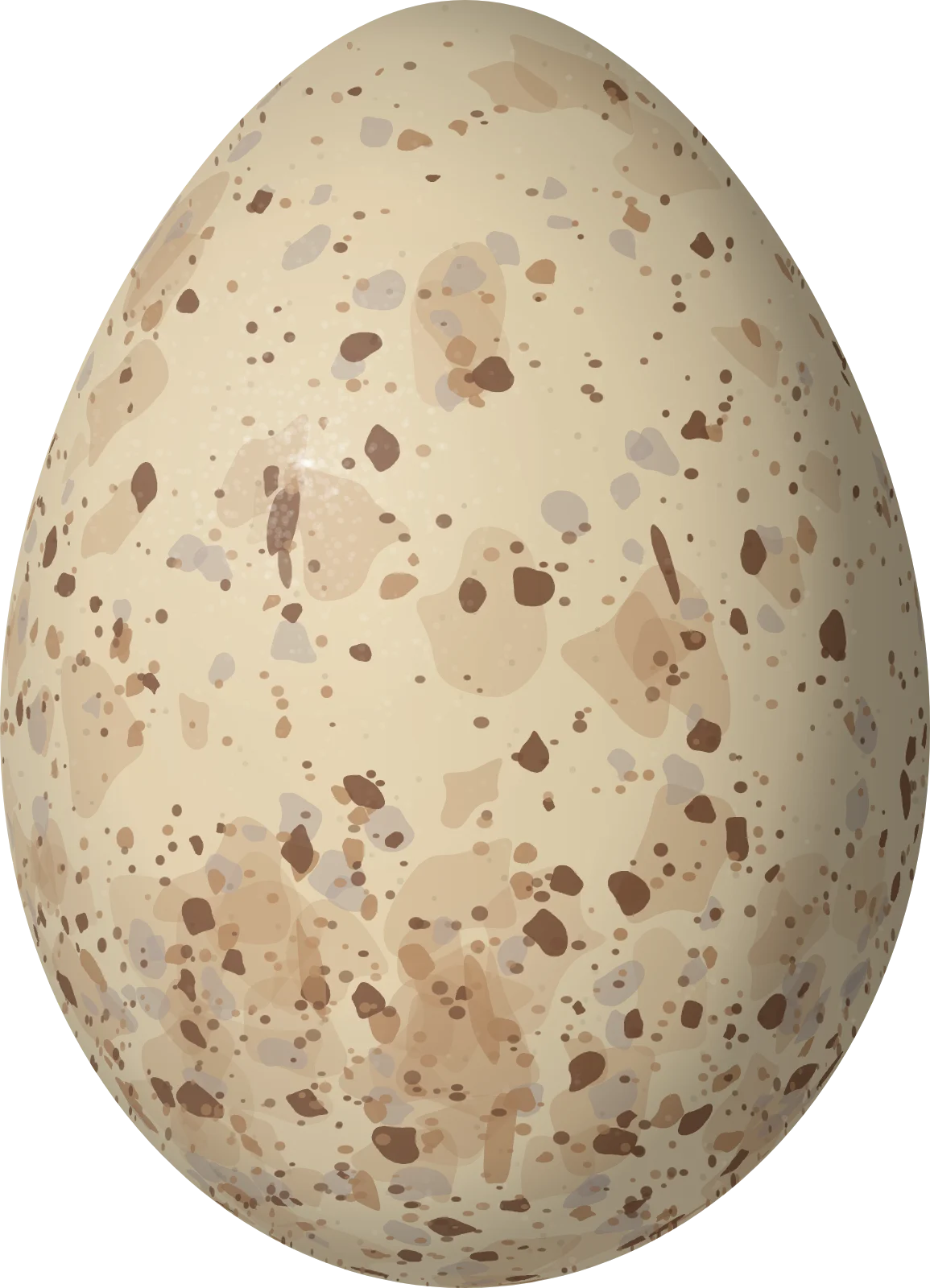 Illustration of a White-tailed Tityra (Tityra leucura) egg, 29.1 × 21 mm