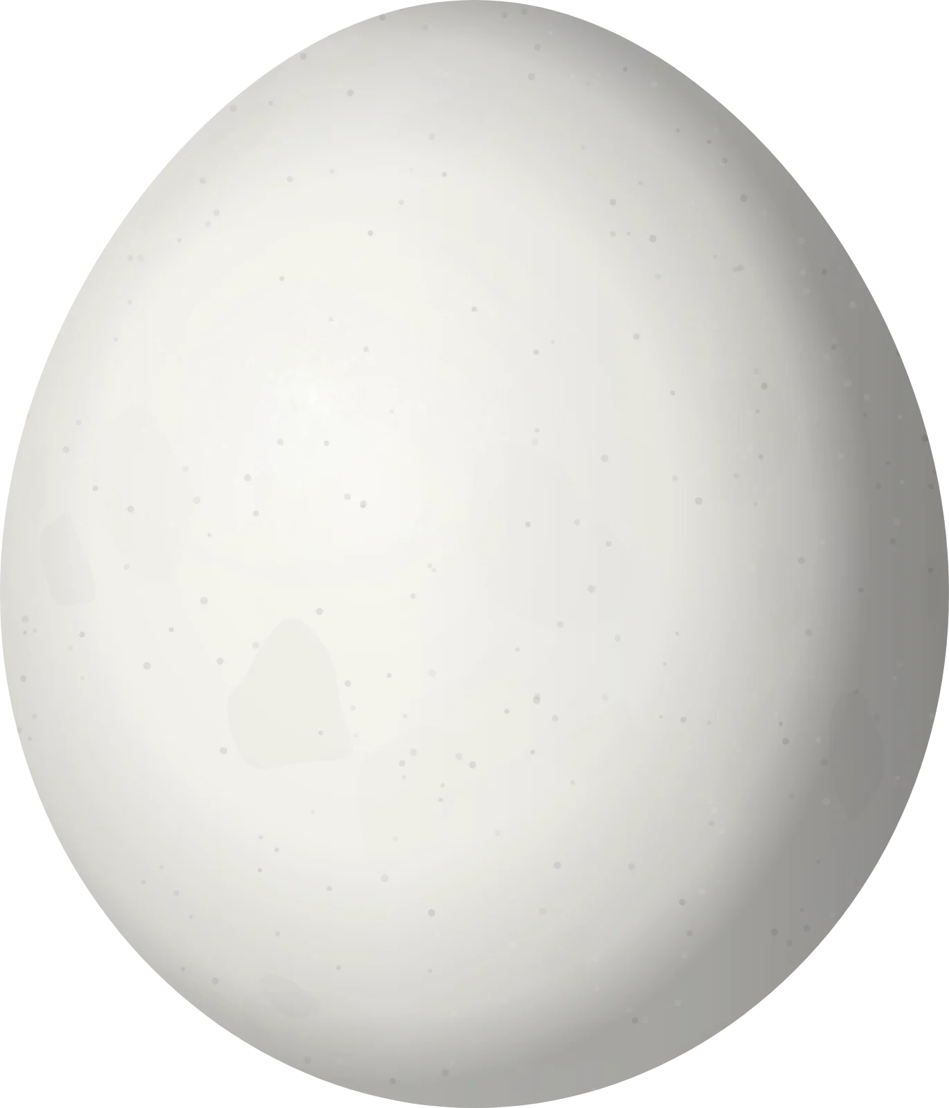 Illustration of a White-tailed Trogon (Trogon chionurus) egg, 27.9 × 23.9 mm