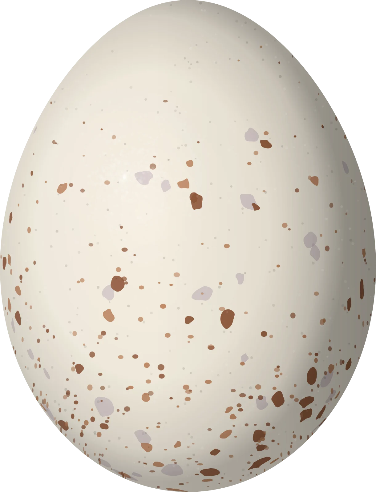 Illustration of a White-throated Crake (Laterallus albigularis) egg, 31.2 × 23.8 mm