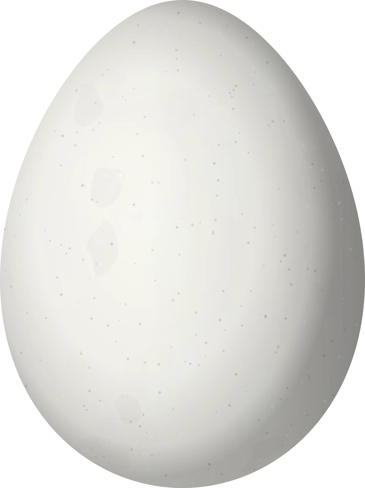 Illustration of a White-throated Earthcreeper (Upucerthia albigula) egg, 28.35 × 21.2 mm