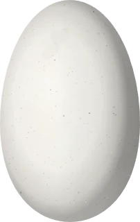 Illustration of a White-throated Hummingbird (Leucochloris albicollis) egg, 14.7 × 9.3 mm