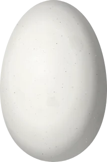 Illustration of a White-throated Mountaingem (Lampornis castaneoventris) egg, 14 × 9.3 mm
