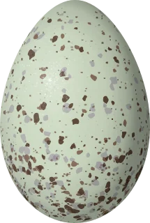 Illustration of a White-throated Sierra Finch (Idiopsar erythronotus) egg, 26.4 × 17.7 mm